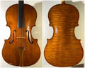Viola by John Simmers, Brisbane 2022